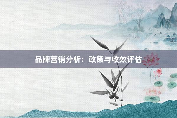 品牌营销分析：政策与收效评估